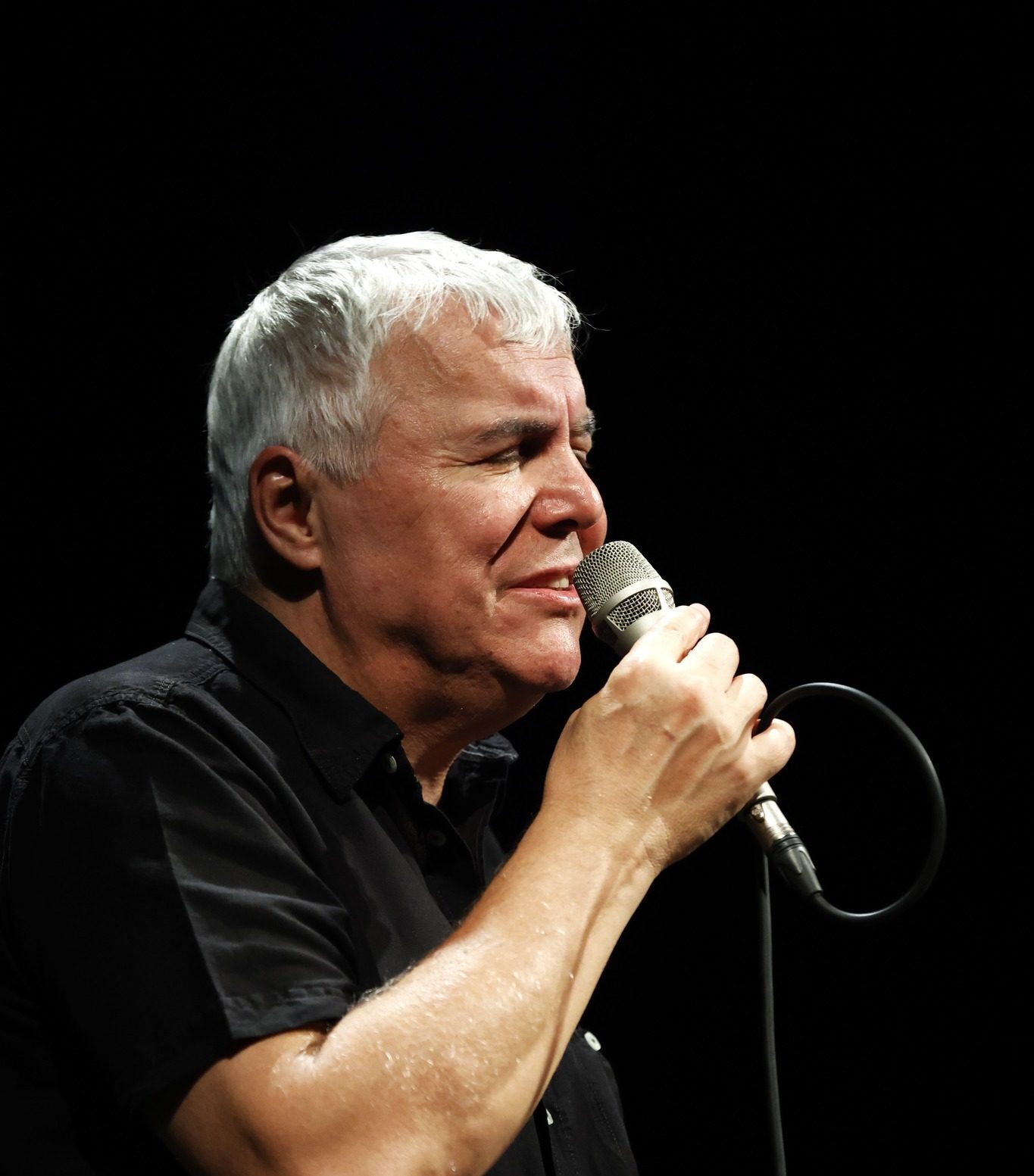 Zoran Predin glasbenik, Zoran Predin,