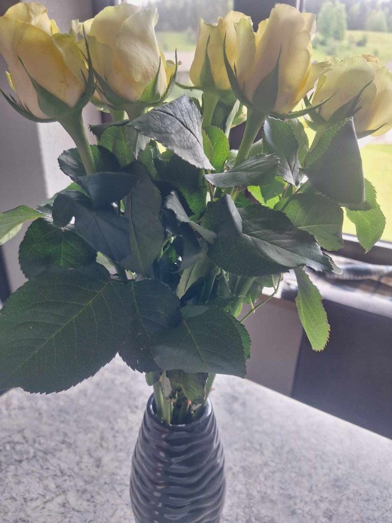 vrtnice vaza