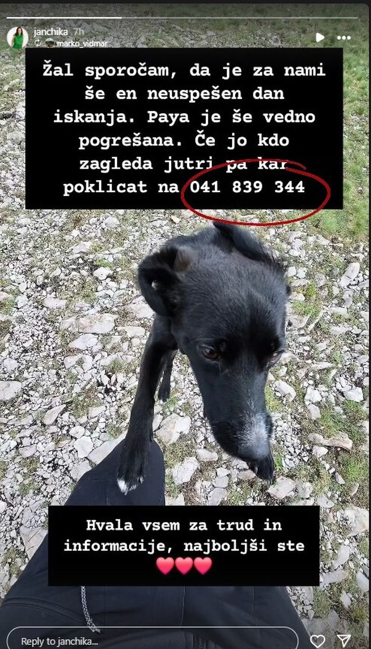 psička, Jana Morelj, Instagram zgodba, 
