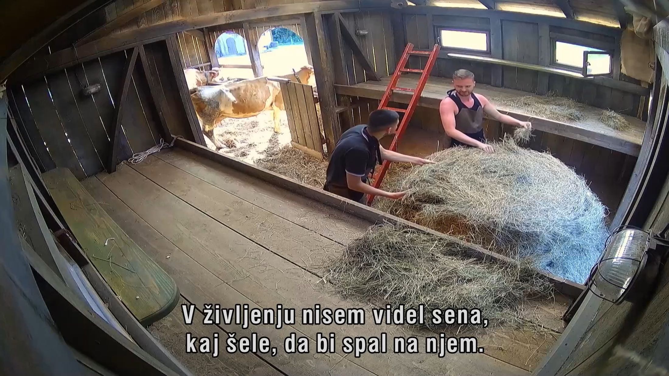 resničnostni šov, Kmetija, tekmovalca, Mario, Patrik, 