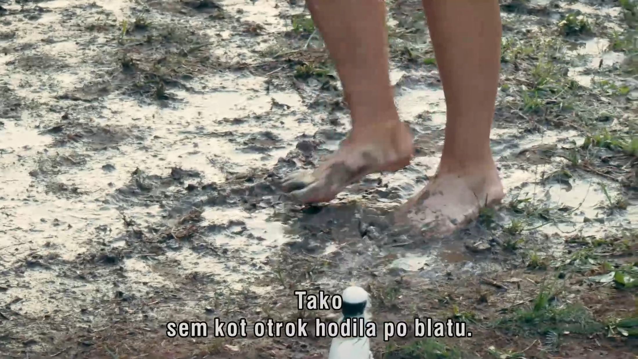 Kmetija resničnostni šov, Kmetija, blato, čofotanje,