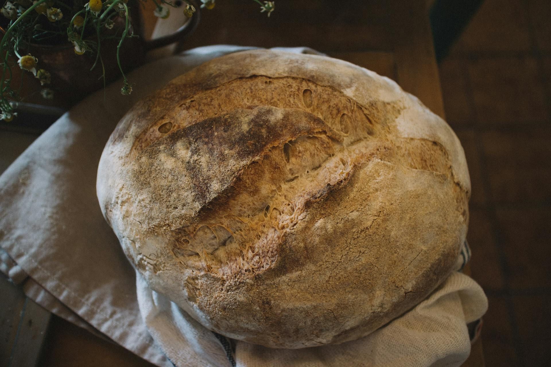 kruh, peka, recept,