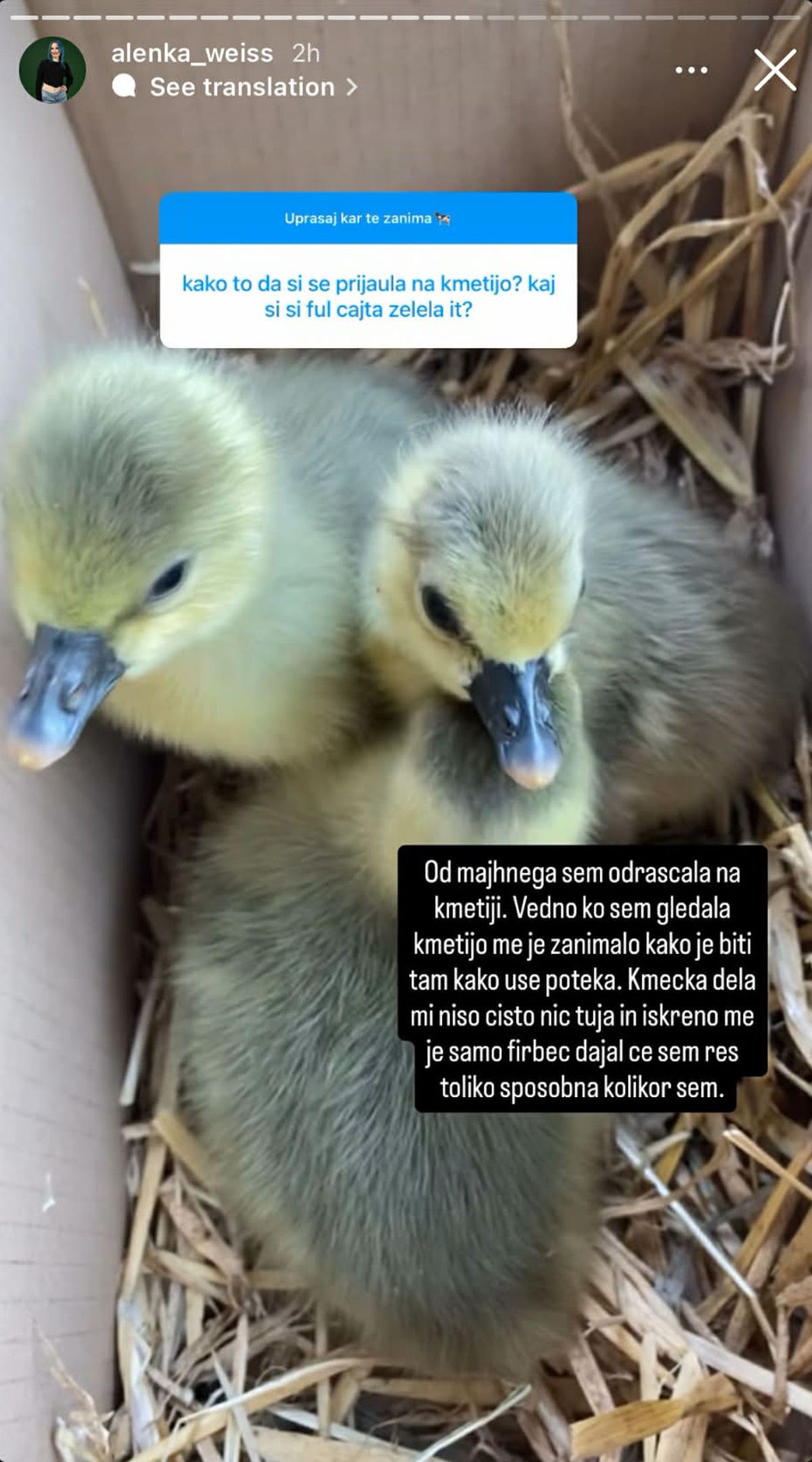 Instagram zgodba Instagram, sporočilo, Alenka,