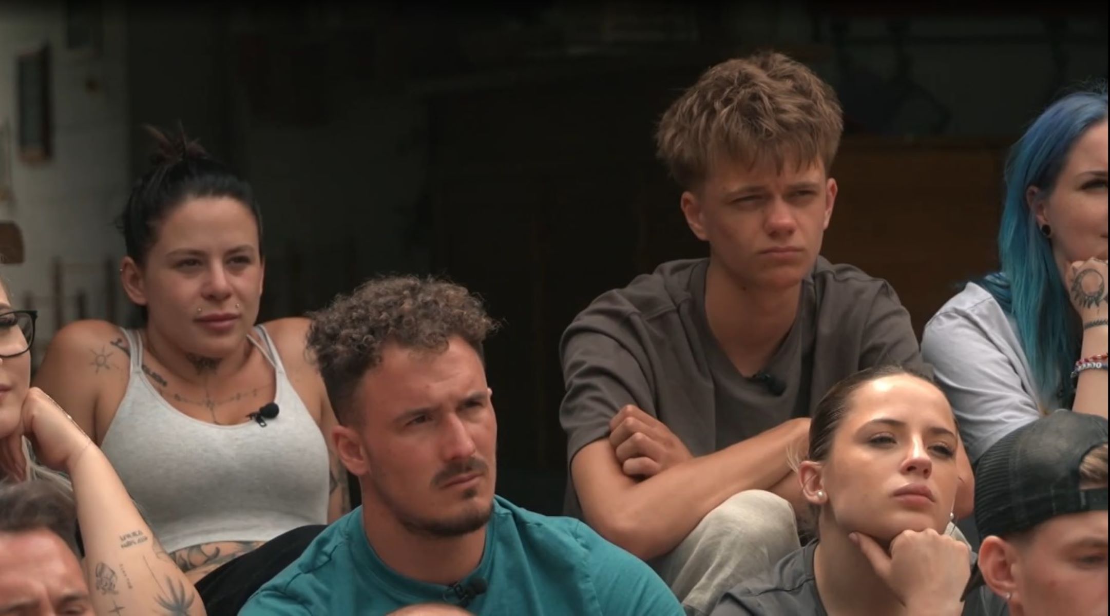Kmetija tekmovalci, Kmetija, šov,