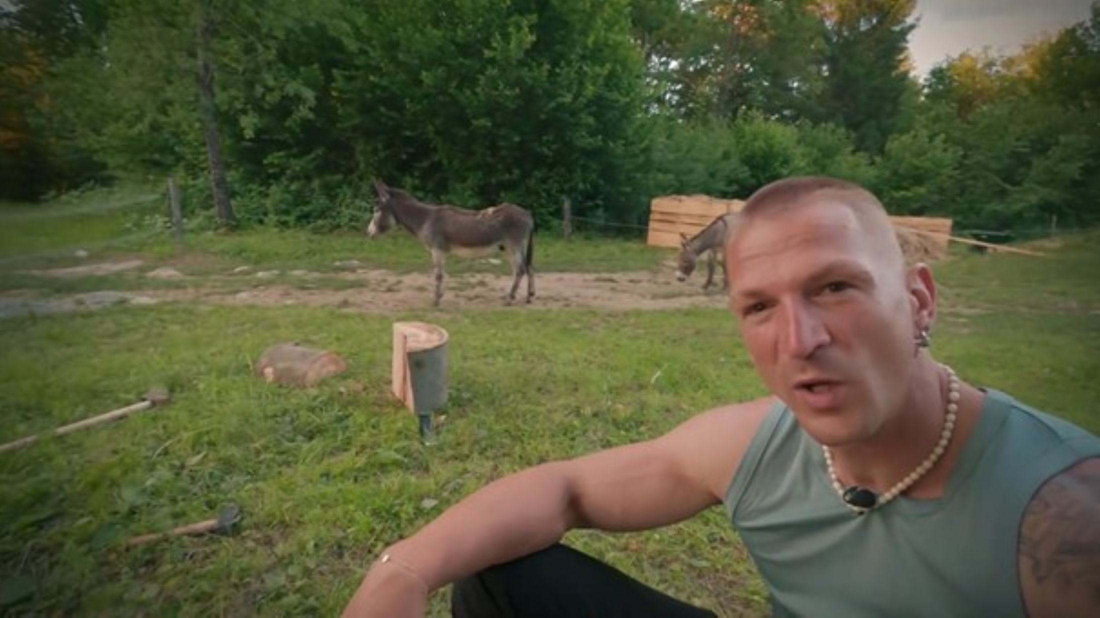 Kmetija Igor, Kmetija,