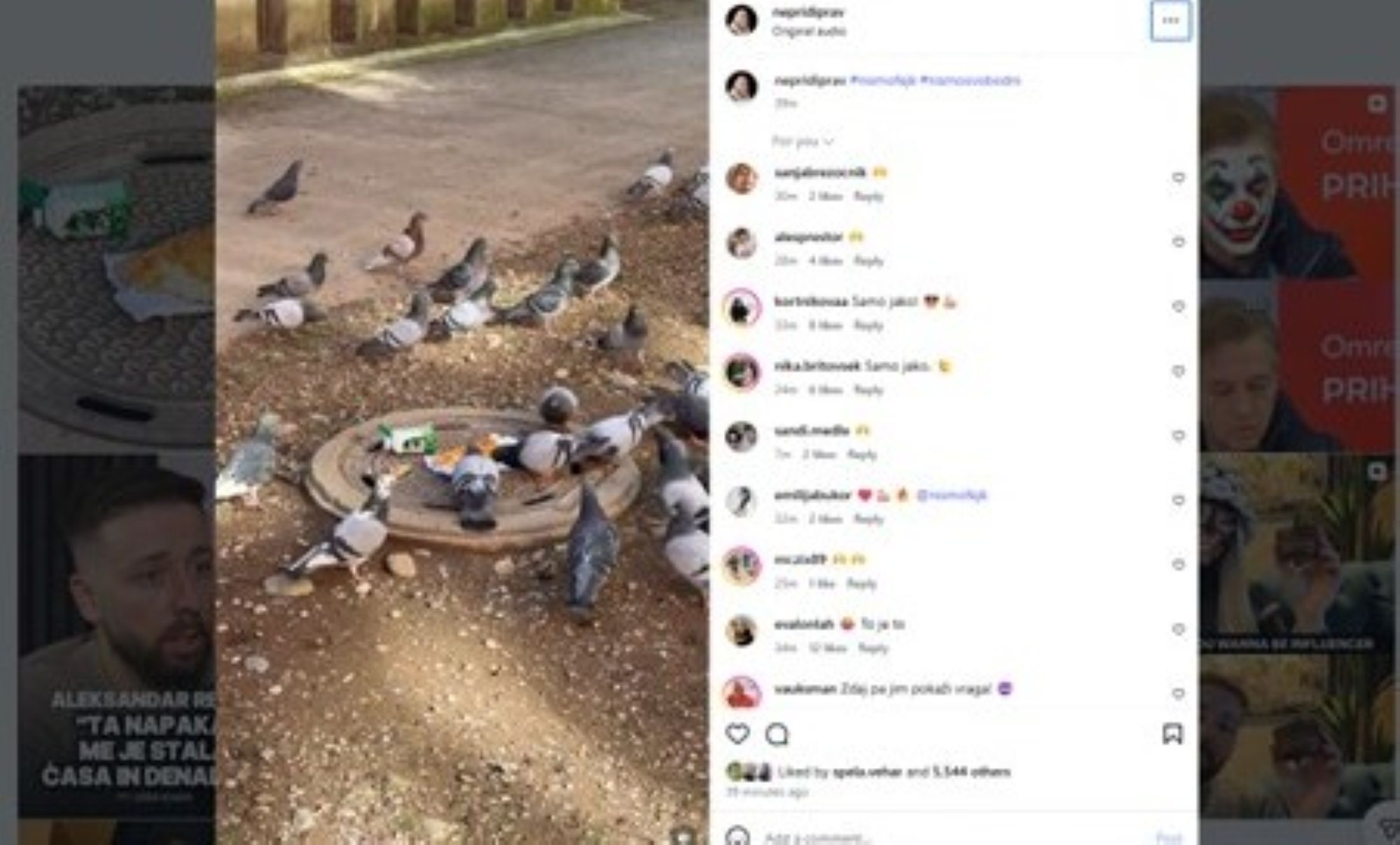 Insatgram Aleksandar Repić, Instagram,