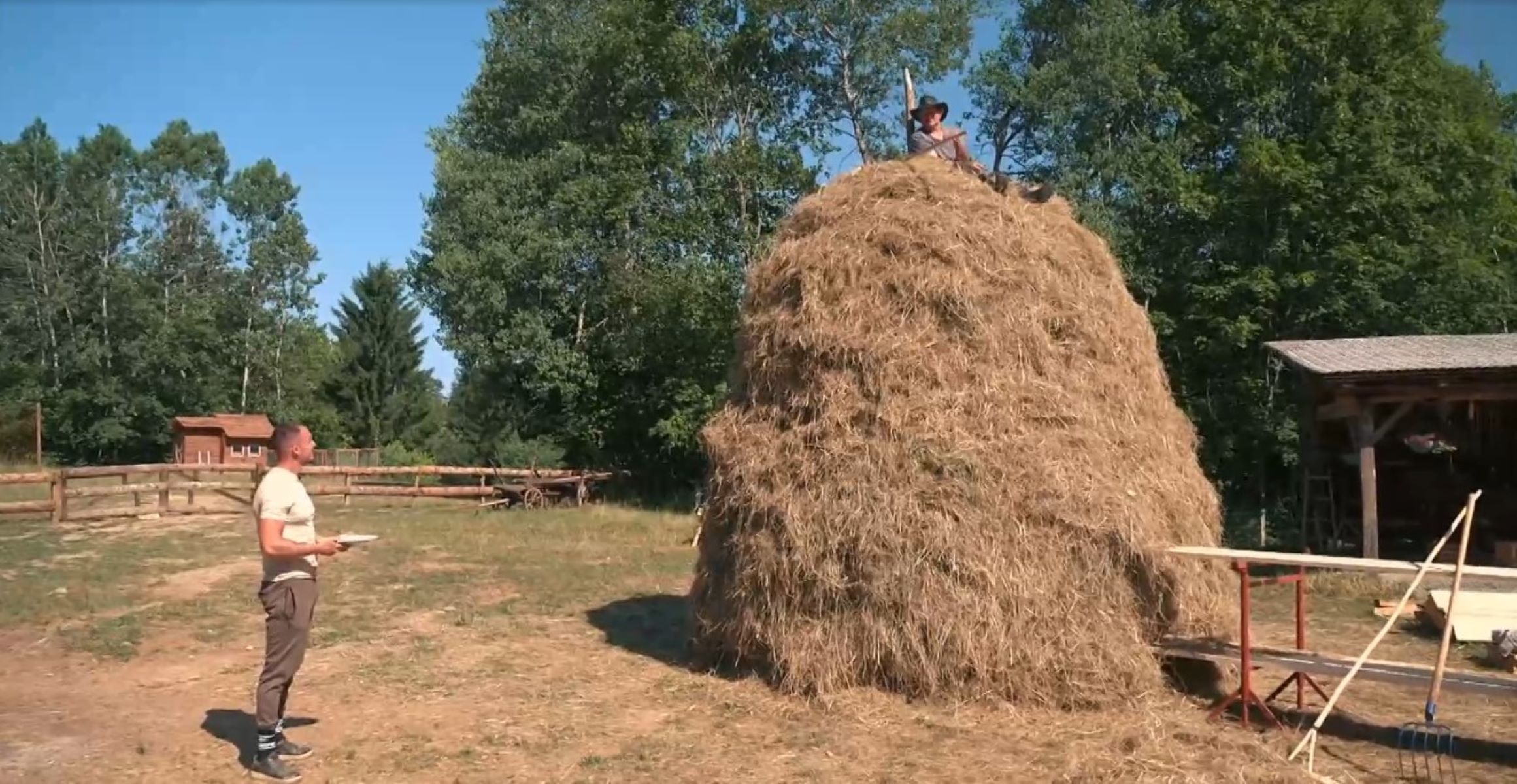 kmetija kmetija, tekmovalci, seno,
