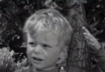 Kje je danes Bogdan Lubej, nepozabni mali Peter iz filma Ne joči, Peter? Preberite vse o njegovi bančni karieri, umiku iz javnosti in mirnem upokojenskem življenju.