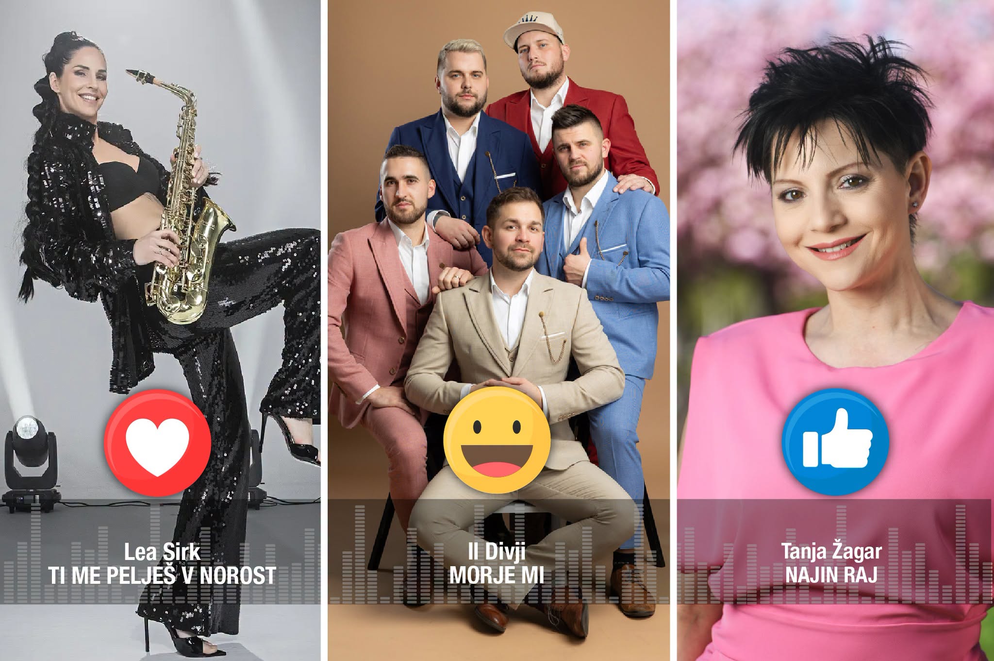 Tanja Žagar, lea Sirk, Il divji, 