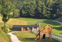 Bela resort, Jani Pavec,