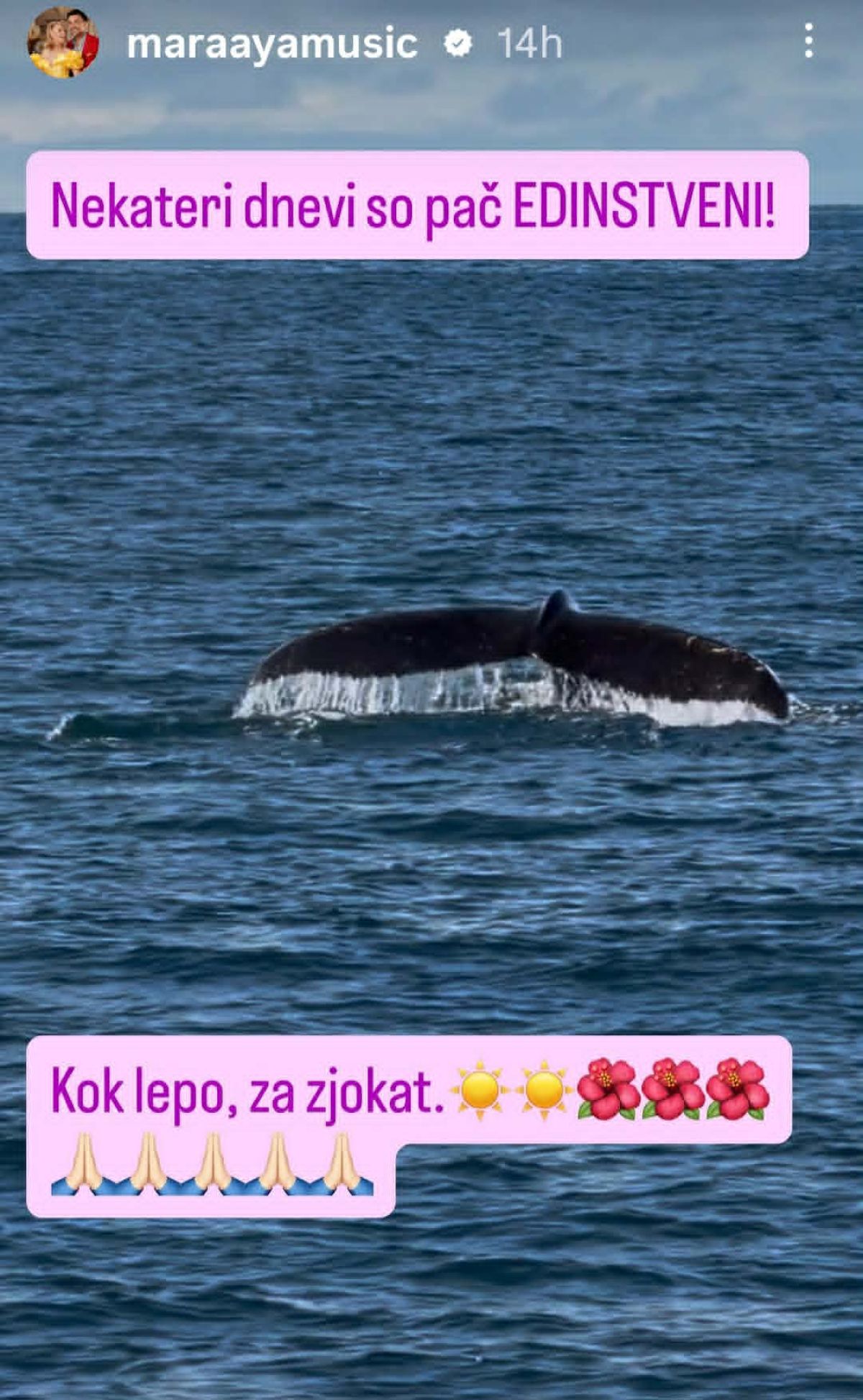 Maraaya, kit, morje, 
