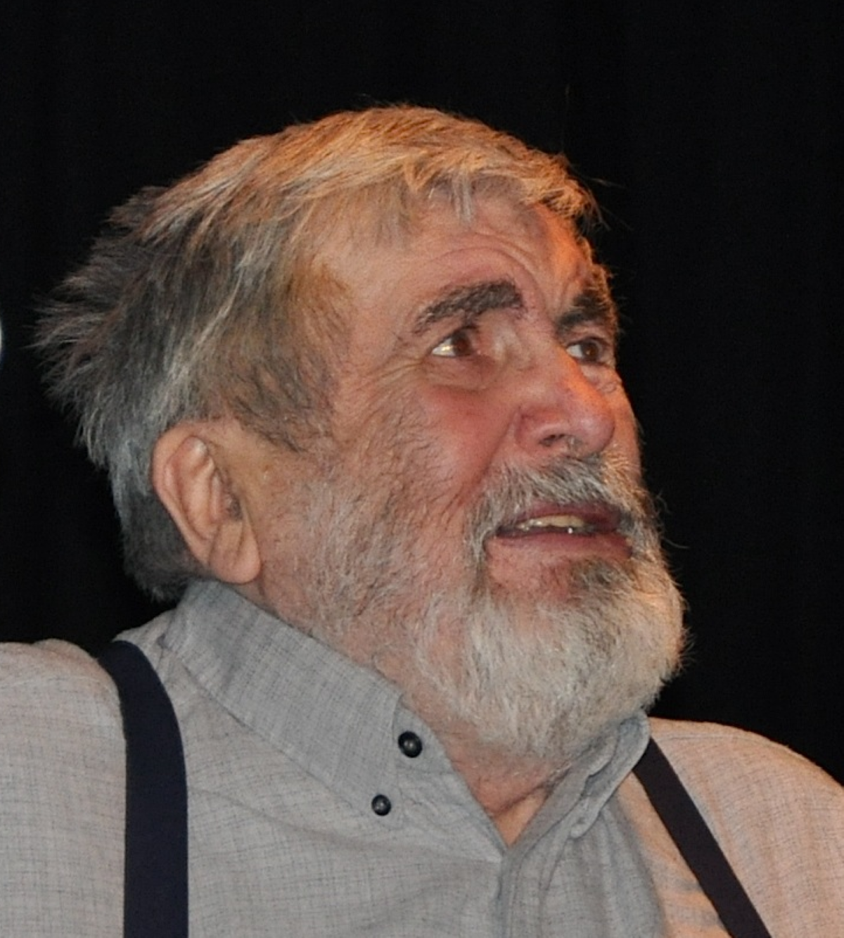 igralec, Polde Bibič,